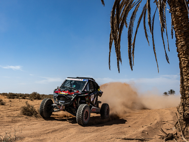 Xtremeplus under palm trees